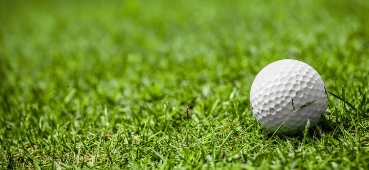 Golf ball on green grass of golf course, copy space