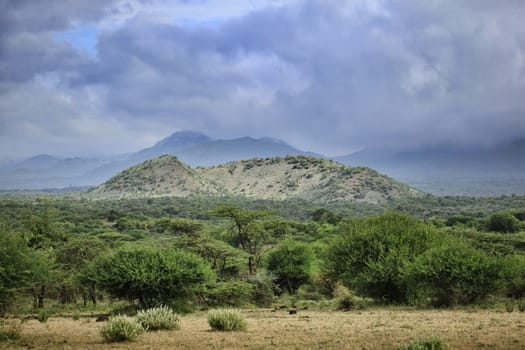 Tsavo National Park in cloudy weather. Kenya