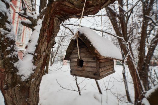 Bird house in Moscow