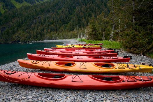 Bright orange and red sea kayaks in a row on the shoreline near Seward, Alaska. 