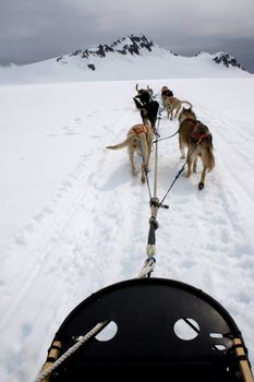A view from the sled being pulled by a dogsledding team on a snow covered glacier in Alaska. 