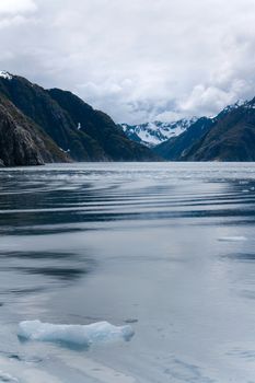 Chunks of glacial ice float in the ocean off the coast of Seward, Alaska. 