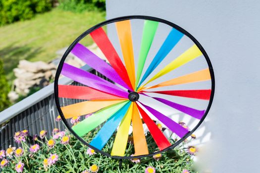 Colourful colorful pinwheel in a flowerpot.