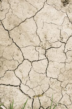 dry mud desert background texture. Global Warming                               