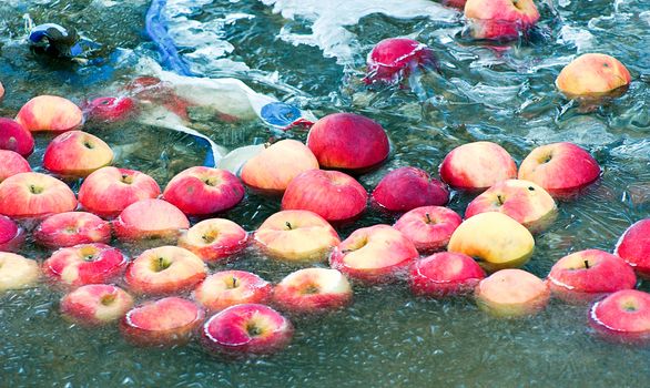 Picture of an Apples trapped in a frozen water