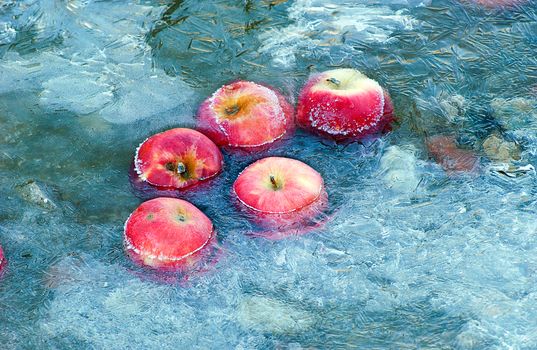 Picture of an Apples trapped in a frozen water