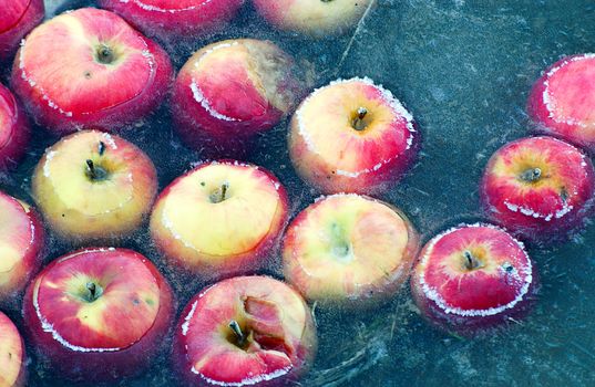 Picture of an Apples trapped in a frozen water