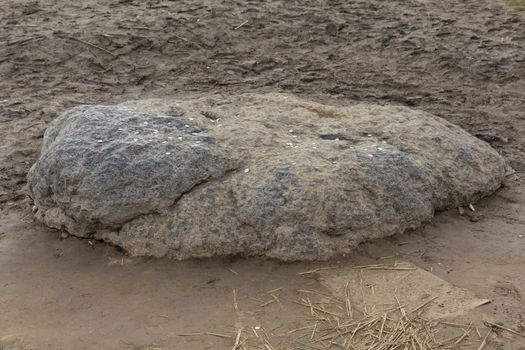 Sacred stone near the blue lake Plescheevo.