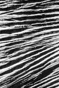 Wooden texture in black and white with light and shadows effects