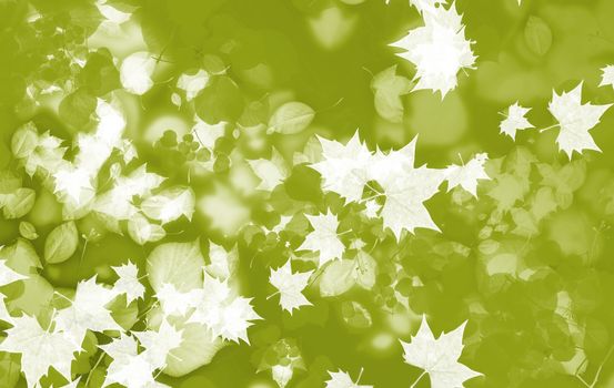 Green Fall - Autumn Theme - Fall Natural-Leafs Background
