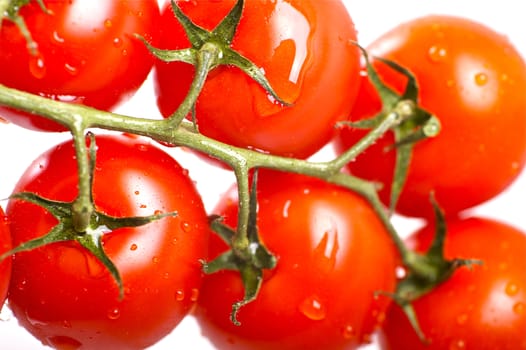Fresh Red Tomato Fruits with Water Drops. Fresh and Healthy Vegetables. Tomatoes on Solid White Background.