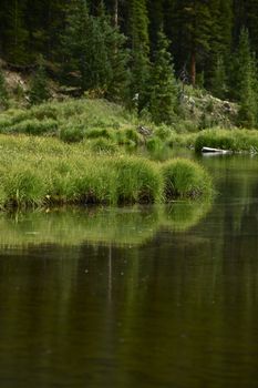 Colorado USA. Forest and Small Lake. Colorado Wilderness