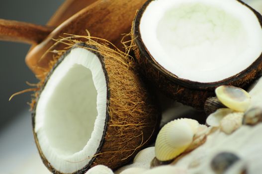 Coconuts and Shells. Wooden Bowl in the Background.