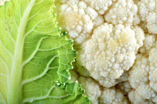 Cauliflower Closeup Horizontal Photography, Fresh Raw Cauliflower Photo.
