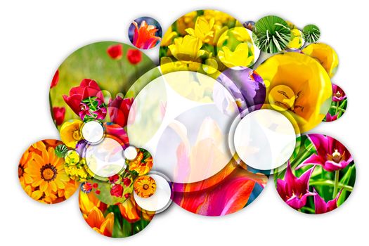 Floral Concept. Gardening Circle. Cool Composition of Flowers Circles on Solid White Background. Perfect for Landscaping Companies, Botanic Gardens or Flower Shops. Logo Space in the Middle Largest Circle.