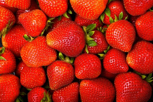 Fresh and Juicy Strawberry Background. Fresh Strawberries from Strawberries Plantation Horizontal Photo. Fruits Photo Collection.