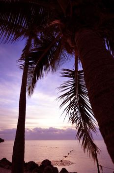 Palm Beach. Sunrise at the Beach. Calm and Silent. Beautiful Scenery of South Florida, USA. Florida Keys. Vertical Photo.