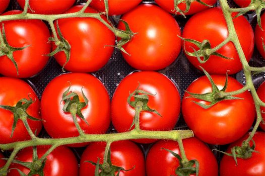 Tomatoes Package. Fresh Tomatoes Package in Grocery Store. Vegetables Stock Photo