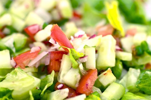 Vegetables - Fresh Salad with Cucumbers, Tomatoes and Greens.
