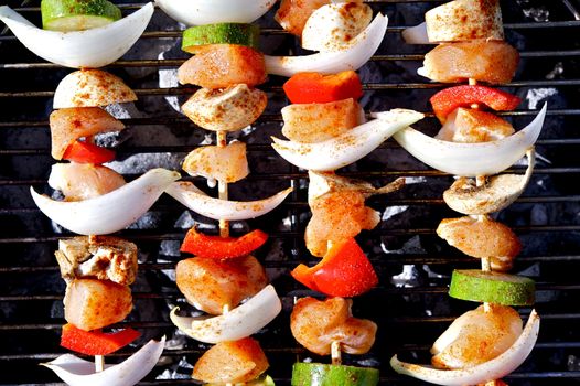 BBQ Chicken Kebab/Kebob and Fresh Vegetables Prepared on Fire. Food Photo Collection.