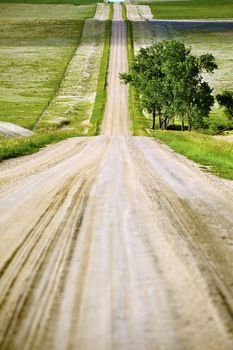 Country Road - Country Landscape. Kadoka, South Dakota, U.S.A. Vertical Photography.