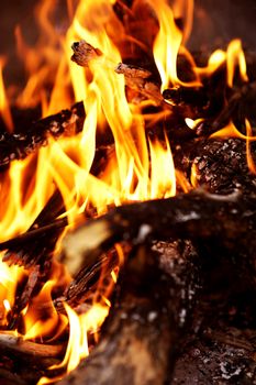 Fireplace. Burning Wood. Vertical Photo