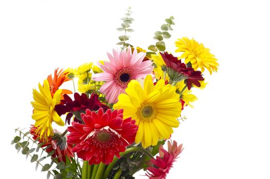 Gerberas Bouquet - Clipped Photo. Solid White Background. Colorful Gerberas and Smaller Wild Flowers.