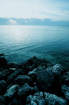 Rocky Shore of Atlantic Ocean. Florida USA. Sunrise at the Beach. Crystal Clear Water. Vertical Photo