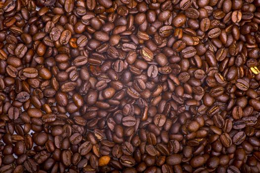 Coffee Beans Background. Fresh Coffee Beans. Coffee Plantation.