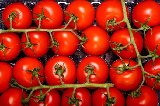Tomato Fruits - Fresh Tomatoes Straight from Farm. Tasty and Juicy Tomatoes. Food Photo Collection.