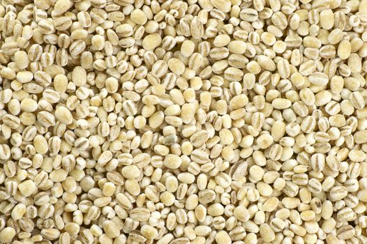 Millet Background - Raw Organic Millet. Food Photo Collection