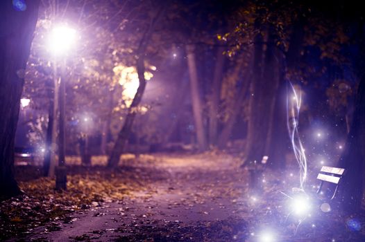 Magic City Park. City Park in Night. Mysterious Lights.