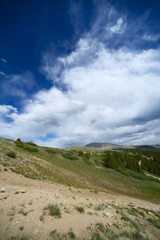 Summer Rockies. Rocky Mountains neat Alma City, Colorado USA. Portrait Alignment.