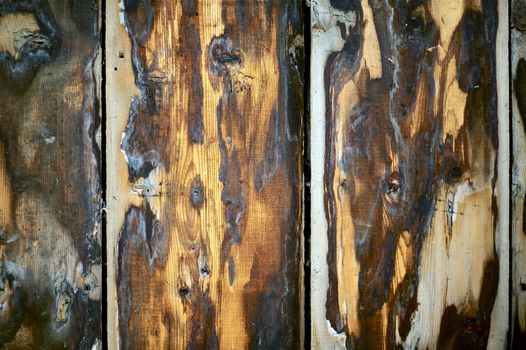 Rough Wood Wall Photo Background. Dirty Rough Vertical Planks - Closeup.