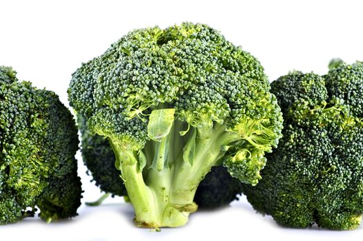 Fresh Broccoli Isolated on White. Broccoli Has Large Flower Heads, Usually Green in Color. Broccoli Horizontal Photography. Vegetables Photo Collection.