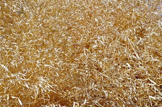 Dry Grasslands Background. Grassland Fire Danger. Dangerous Drought. Nature Photo Collection