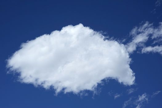 Just Cloud. SImple Pure Small Summer Cloud on Blue Sky.