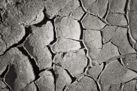 dry mud land background texture. Global Warming concept                               