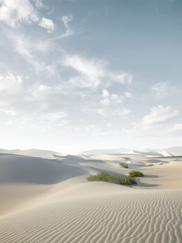view of nice sands dunes at Sands Dunes National Park