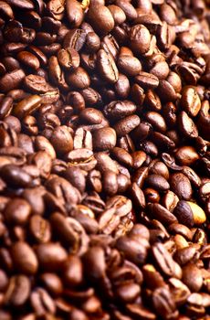 Fresh Coffee Beans Vertical Background. Full of Taste and Flavor Coffee Beans.