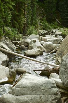 Rocky Mountain River Between Independence Pass and Aspen, Colorado, USA