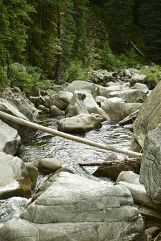 Rocky Mountain River Between Independence Pass and Aspen, Colorado, USA