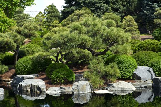 Botanic Garden - Japanese Garden with Small Pond. 