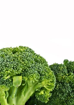 Broccoli Isolated on White Background. White Background Copy Space with Fresh Raw Broccoli on the Bottom.