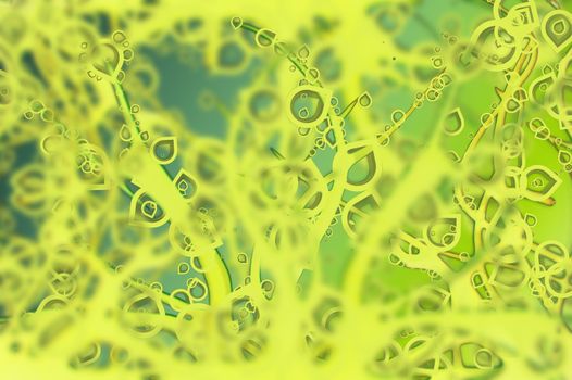Fantasy Green Background. Abstract Background with Kind of Organic Life.