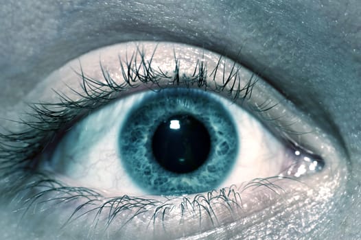 Human Eye in Macro Photography. Male / Men Eye. Horizontal Photo.