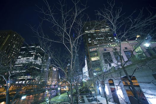Cityscape Chicago, Illinois, USA. Modern American City - Chicago, IL by Night. City Illuminations. Horizontal Wide Angle Photography