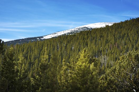National Forest Colorado. Colorado Mountain Landscape. Summer Landsapce