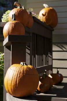 Front Yard Halloween Decoration. Vertical Photo