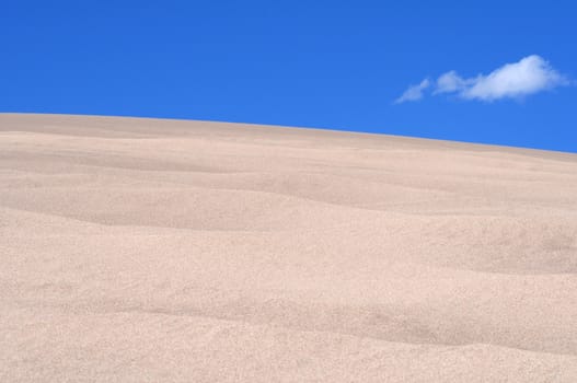 The Desert Landscape. Sand Dunes
